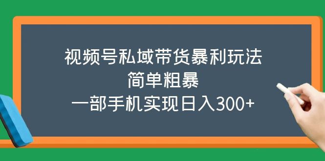 【副业项目5627期】视频号私域带货暴利玩法，简单粗暴，一部手机实现日入300+-青简副业网