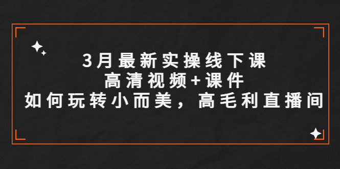 【副业项目5675期】3月最新实操线下课高清视频+课件，如何玩转小而美，高毛利直播间-青简副业网