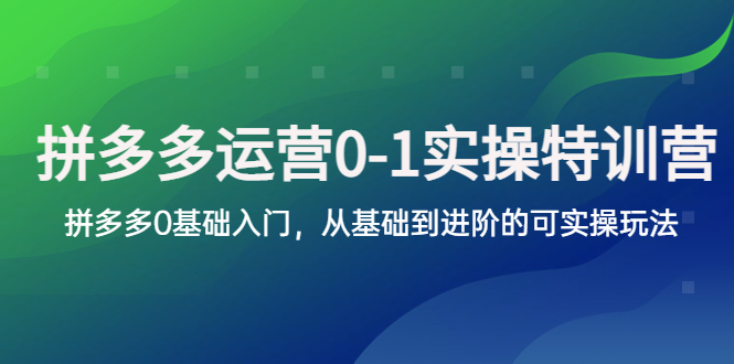 【副业项目5801期】拼多多-运营0-1实操训练营，拼多多0基础入门，从基础到进阶的可实操玩法-青简副业网