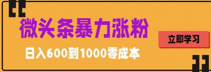 【副业项目5970期】微头条暴力涨粉技巧搬运文案就能涨几万粉丝，简单0成本，日赚600-青简副业网