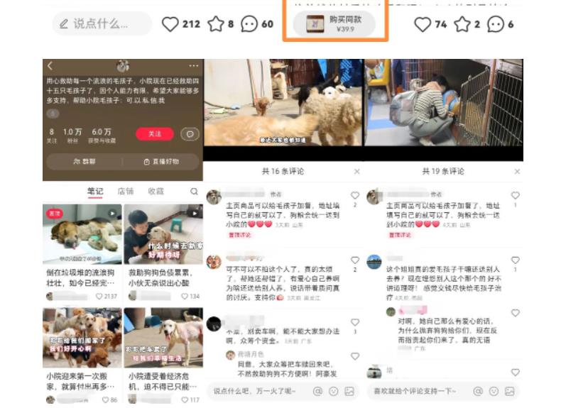 【副业项目5898期】小红书蓝海类赛道：小动物打赏与购买变现副业项目，一条龙玩法分享给你！-青简副业网