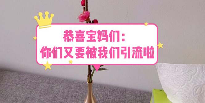 【副业项目5918期】恭喜宝妈们：你们又要被我们引流了（教程+222g资料）-青简副业网