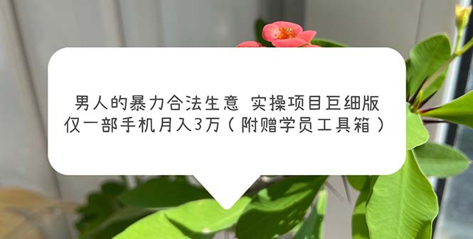 【副业项目5982期】男人的暴力合法生意实操项目巨细版：仅一部手机月入3w（附赠学员工具箱）-青简副业网
