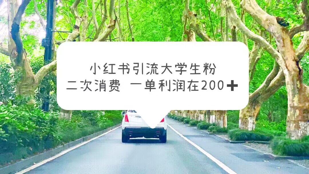 【副业项目5937期】小红书引流大学生粉，变现项目，一单利润在200+（教程+资源）-青简副业网