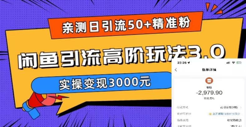 【副业项目5795期】实测日引50+精准粉，闲鱼引流高阶玩法3.0，实操变现3000元-青简副业网
