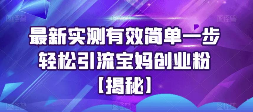 【副业项目6204期】最新实测有效简单一步轻松引流宝妈创业粉【揭秘】-青简副业网