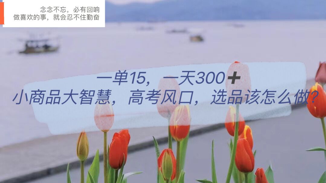 【副业项目6119期】一单15，一天300+，小商品大智慧，高考风口，选品该怎么布局-青简副业网