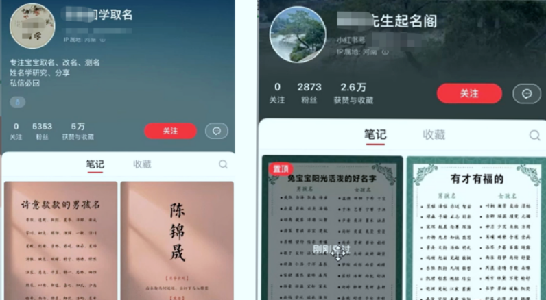 【副业项目6232期】【新课】冷门暴利项目：给宝宝起名（一单200+）内附教程+工具-青简副业网