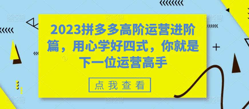 【副业项目6241期】2023拼多多高阶运营进阶篇，用心学好四式，你就是下一位运营高手-青简副业网