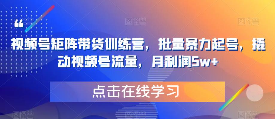 【副业项目6254期】视频号矩阵带货训练营，批量暴力起号，撬动视频号流量，月利润5w+-青简副业网