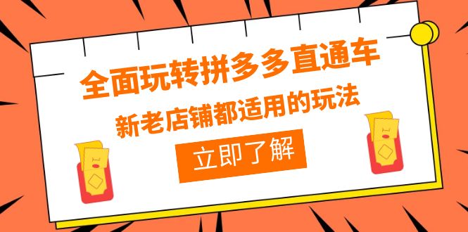 【副业项目6359期】全面玩转拼多多直通车，新老店铺都适用的玩法（12节精华课）-青简副业网