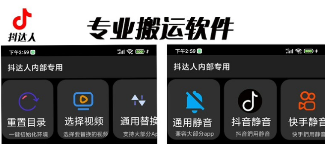 【副业项目6743期】对外收费699抖音傻瓜式一键搬运，起号专用5分钟一个视频《软件+详细教程》-青简副业网