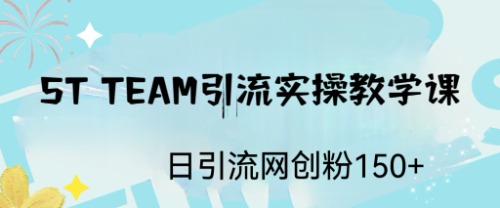 【副业项目6745期】ST TEAM引流实操课，日引流网创粉100+-青简副业网