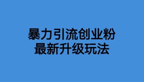 【副业项目6372期】价值1980一千个野路子暴力引流最新升级玩法【揭秘】-青简副业网