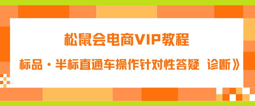 【副业项目6373期】松鼠会电商VIP教程：松鼠《付费推广标品·半标直通车操作针对性答疑&诊断》-青简副业网