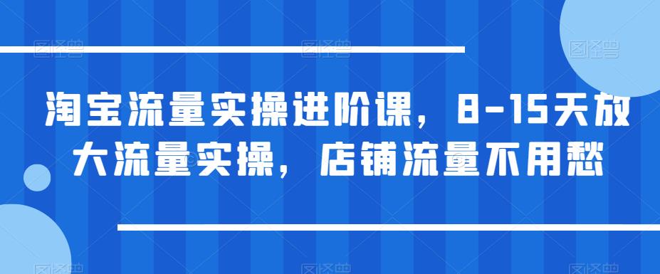 【副业项目6415期】淘宝流量实操进阶课，8-15天放大流量实操，店铺流量不用愁-青简副业网