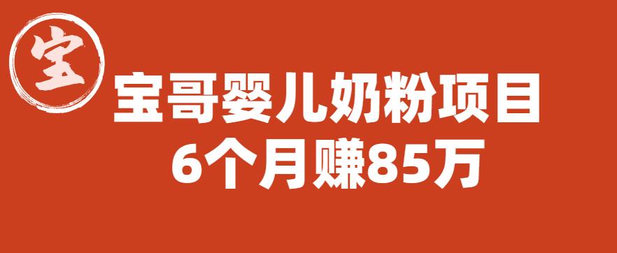 【副业项目6416期】宝哥婴儿奶粉项目，6个月赚85w【图文非视频】【揭秘】-青简副业网