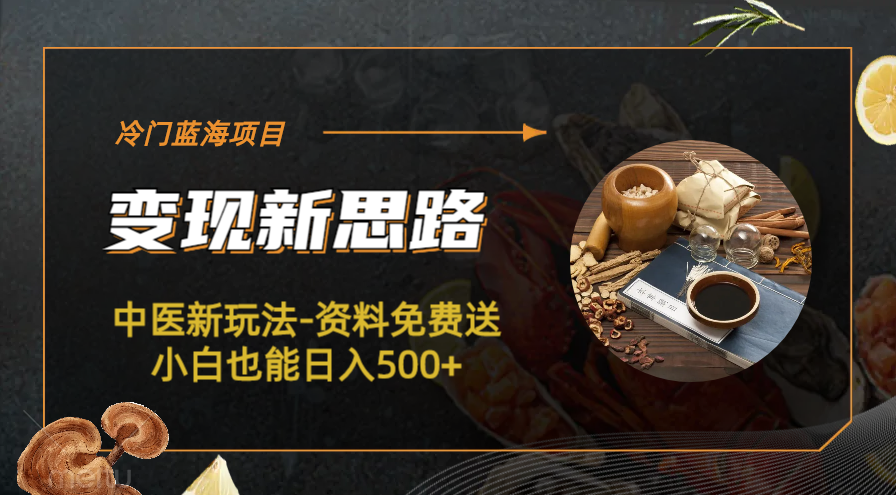 【副业项目6563期】冷门蓝海项目-中医新玩法-资料免费送小白也能日入500+-青简副业网