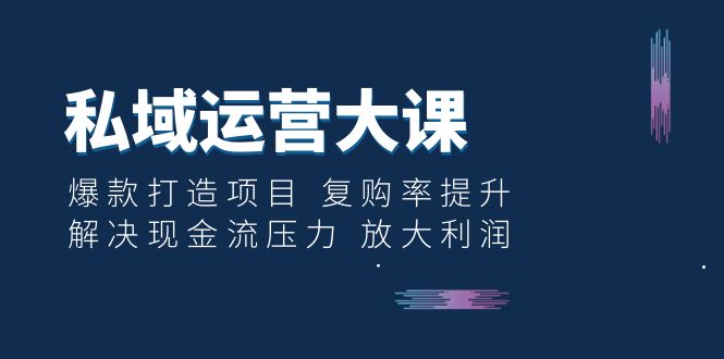 【副业项目6574期】私域运营大课：爆款打造项目 复购率提升 解决现金流压力 放大利润-青简副业网
