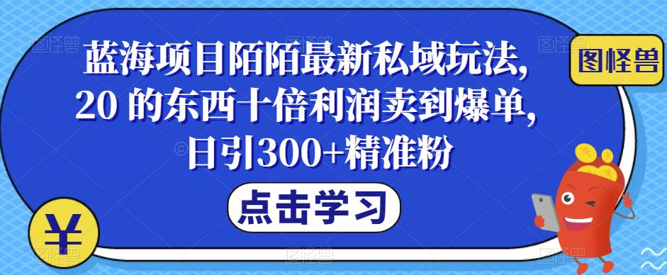 【副业项目6699期】蓝海项目陌陌最新私域玩法，20 的东西十倍利润卖到爆单，日引300+精准粉【揭秘】-青简副业网
