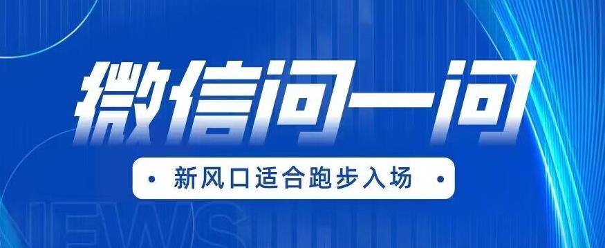 【副业项目6729期】全网首发微信问一问新风口变现项目（价值1999元）【揭秘】-青简副业网