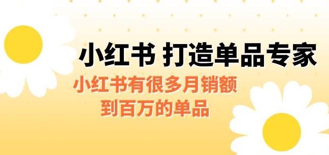 【副业项目6703期】某公众号付费文章《小红书打造单品专家》小红书有很多月销额到百万的单品-青简副业网