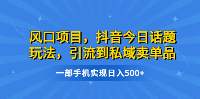 【副业项目6791期】风口项目，抖音今日话题玩法，引流到私域卖单品，一部手机实现日入500+-青简副业网