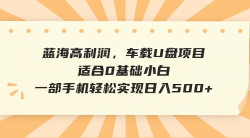 【副业项目6781期】蓝海高利润，车载U盘项目，适合0基础小白，一部手机轻松实现一天500+-青简副业网