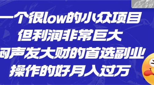 【副业项目6782期】一个很low的小众项目，但利润非常巨大，闷声发大财的首选副业，月入过万-青简副业网