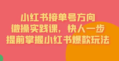 【副业项目6820期】接单号方向·小红书微操实践课，快人一步，提前掌握小红书爆款玩法-青简副业网
