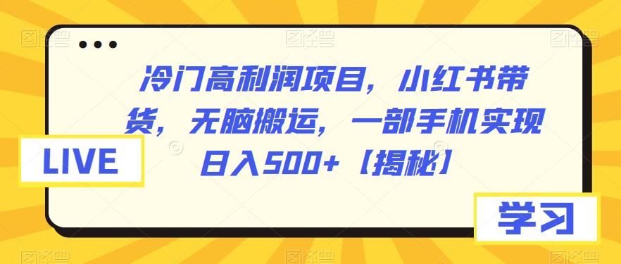 【副业项目6875期】冷门高利润项目，小红书带货，无脑搬运，一部手机实现日入500+【揭秘】-青简副业网