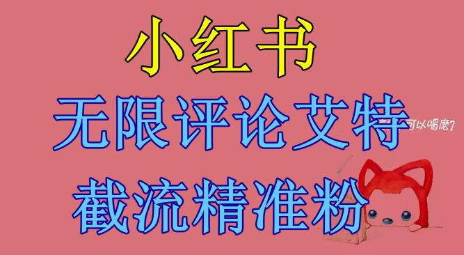 【副业项目6846期】小红书无限评论艾特截流精准粉（软件+教程）-青简副业网