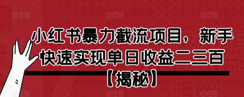 【副业项目6889期】小红书暴力截流项目，新手快速实现单日收益二三百【仅揭秘】-青简副业网