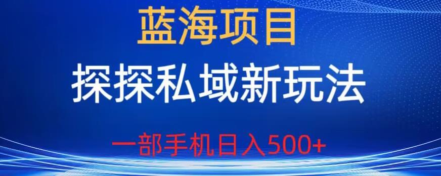 【副业项目6894期】蓝海项目，探探私域新玩法，一部手机日入500+很轻松【揭秘】-青简副业网