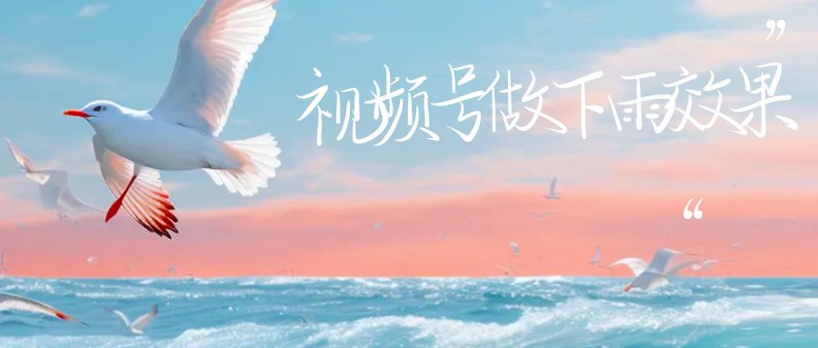 【副业项目6913期】视频号做下雨视频一个账号一周涨粉10W+年入100w-青简副业网