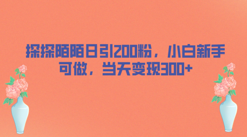 【副业项目7026期】探探陌陌日引200粉，小白新手可做，当天就能变现300+-青简副业网