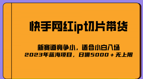 【副业项目7037期】2023爆火的快手网红IP切片，号称日佣5000＋的蓝海项目，二驴的独家授权-青简副业网