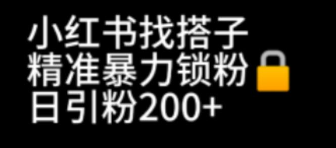 【副业项目7040期】小红书找搭子暴力精准锁粉+引流日引200+精准粉-青简副业网