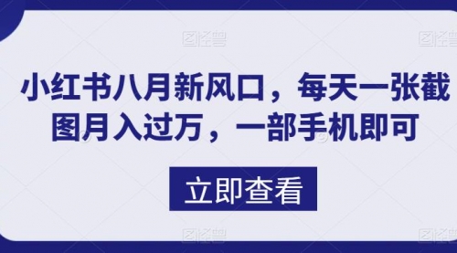 【副业项目7078期】八月新风口，小红书虚拟项目一天收入1000+-青简副业网