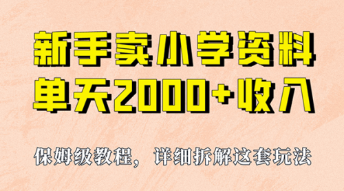 【副业项目7100期】卖小学资料，实现单天2000+，实操项目，保姆级教程+资料+工具-青简副业网