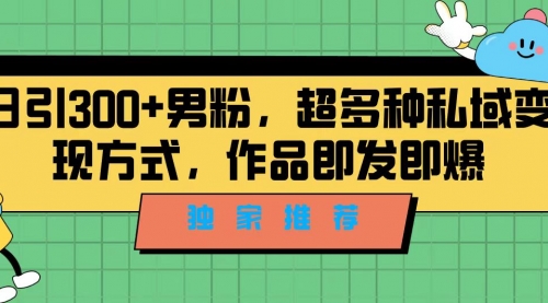 【副业项目7191期】独家推荐！日引300+男粉，超多种私域变现方式-青简副业网