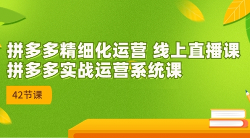 【副业项目7292期】2023年新课-拼多多精细化运营-青简副业网