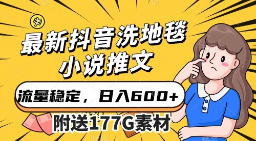 【副业项目7638期】最新抖音洗地毯小说推文，流量稳定，一天收入600（附177G素材）-青简副业网