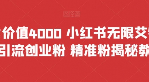 【副业项目7956期】价值4000 小红书无限艾特暴力引流创业粉 精准粉揭秘教程-青简副业网