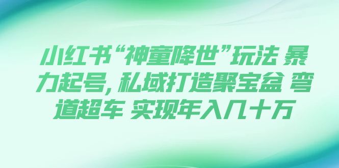 【副业项目7983期】小红书“神童降世”玩法 暴力起号,私域打造聚宝盆-青简副业网