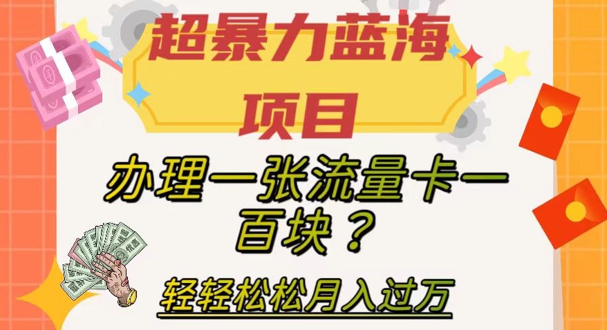 【副业项目8024期】超暴力蓝海项目，办理一张流量卡一百块？轻轻松松月入过万，保姆级教程【揭秘】-青简副业网