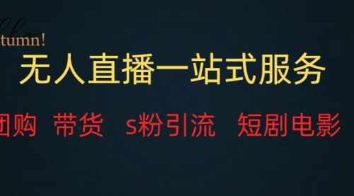 【副业项目7968期】无人直播全套服务，变现稳定-青简副业网