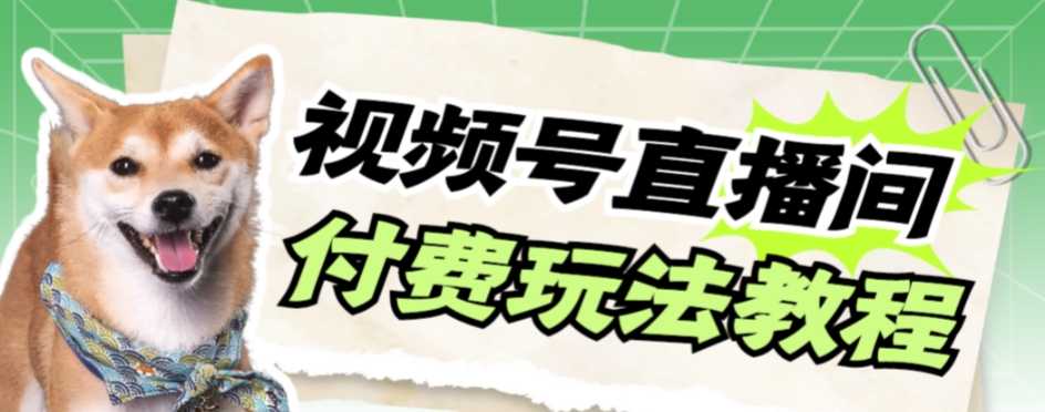 【副业项目7973期】视频号美女付费无人直播，轻松日入500+-青简副业网