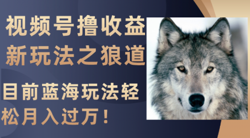 【副业项目8271期】视频号撸收益新玩法之狼道，目前蓝海玩法轻松月入过万！-青简副业网
