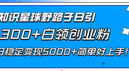 【副业项目8492期】知识星球野路子日引300+白领创业粉-青简副业网